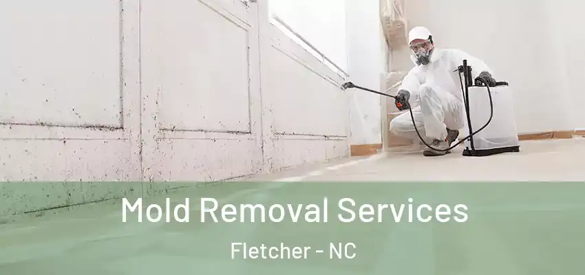  Mold Removal Services Fletcher - NC