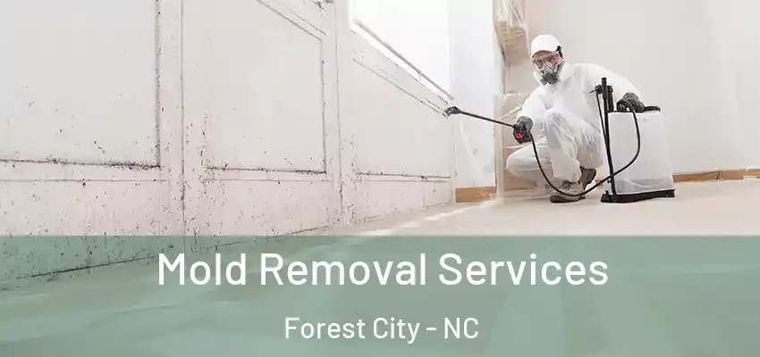  Mold Removal Services Forest City - NC