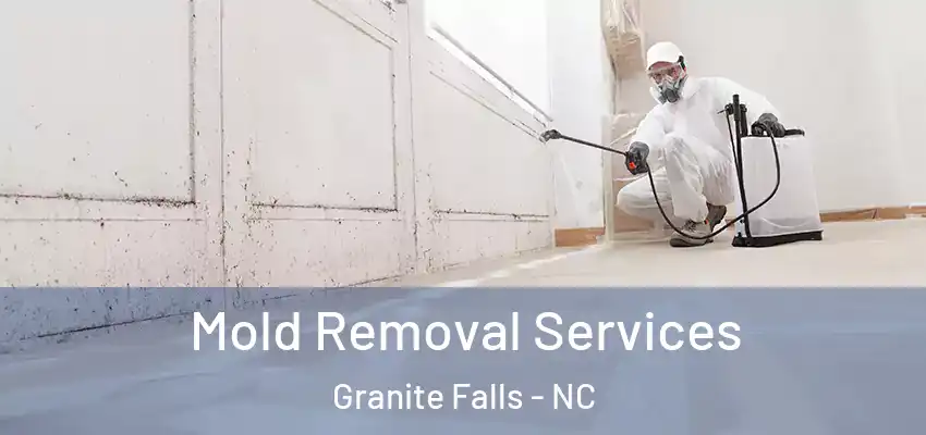  Mold Removal Services Granite Falls - NC