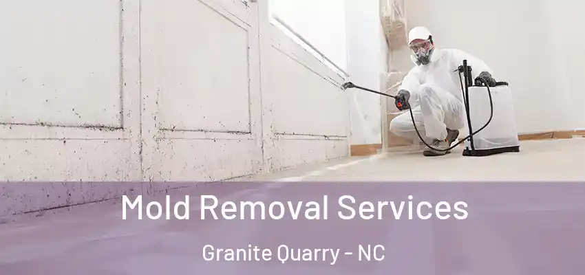 Mold Removal Services Granite Quarry - NC