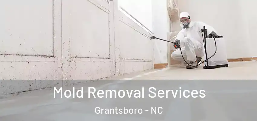  Mold Removal Services Grantsboro - NC