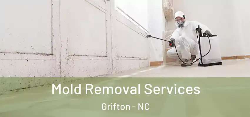  Mold Removal Services Grifton - NC