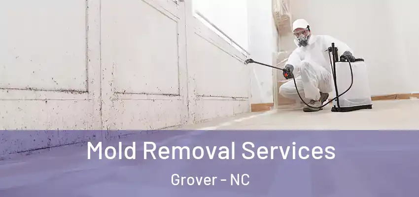 Mold Removal Services Grover - NC