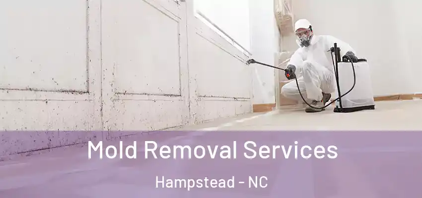 Mold Removal Services Hampstead - NC