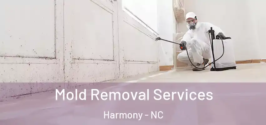 Mold Removal Services Harmony - NC
