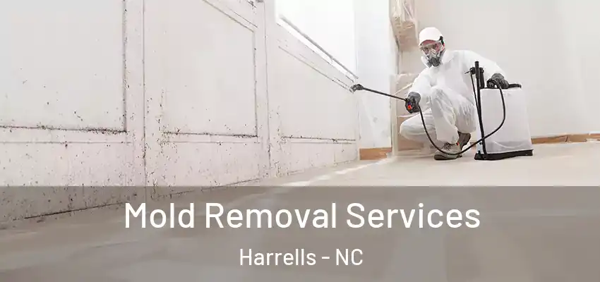  Mold Removal Services Harrells - NC
