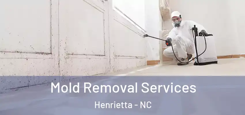 Mold Removal Services Henrietta - NC