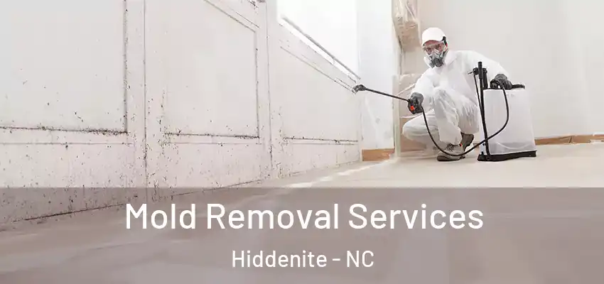  Mold Removal Services Hiddenite - NC
