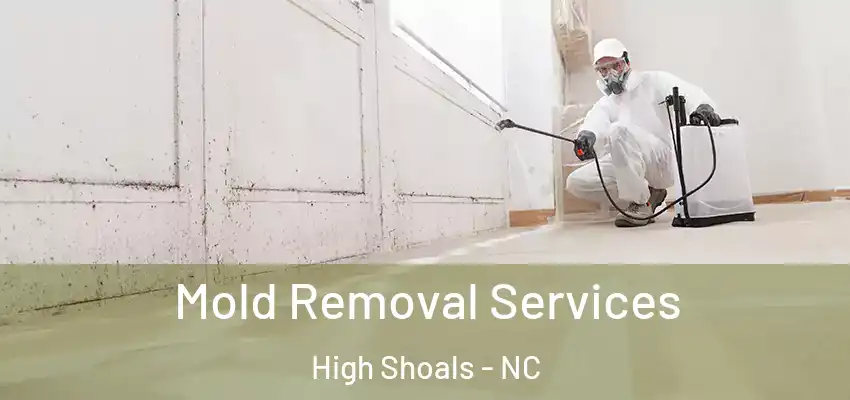 Mold Removal Services High Shoals - NC