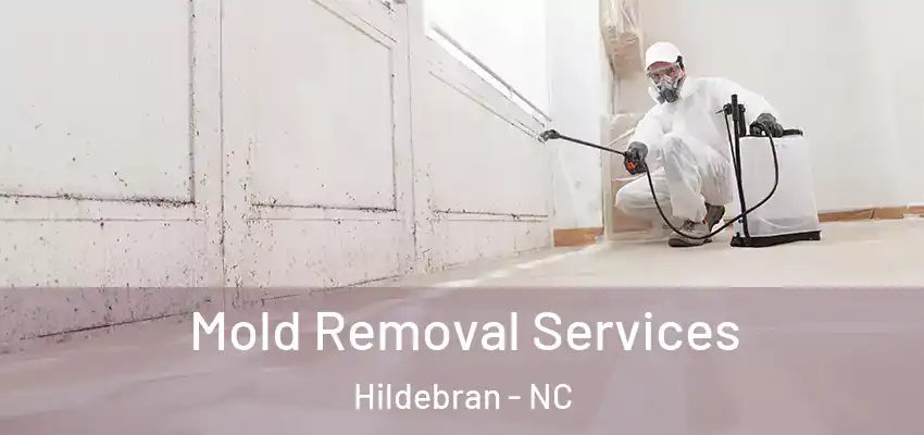  Mold Removal Services Hildebran - NC