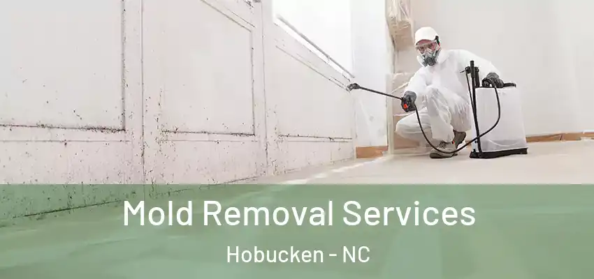 Mold Removal Services Hobucken - NC