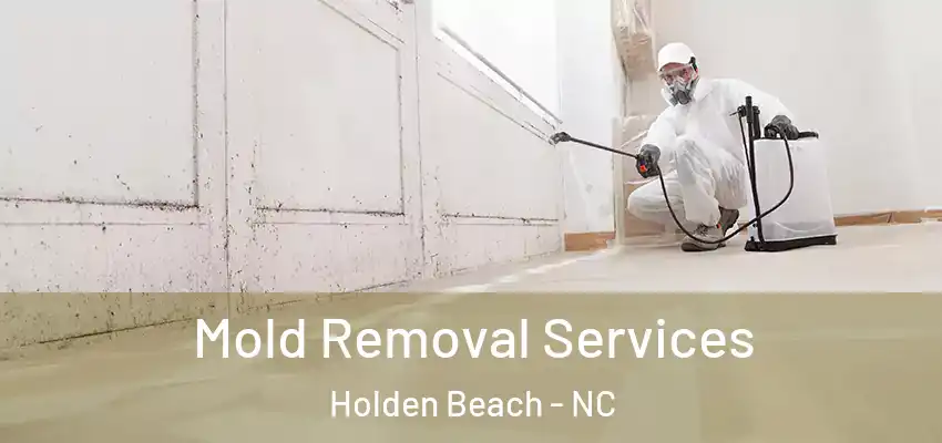 Mold Removal Services Holden Beach - NC