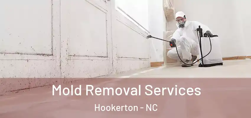  Mold Removal Services Hookerton - NC