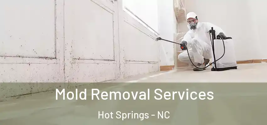 Mold Removal Services Hot Springs - NC