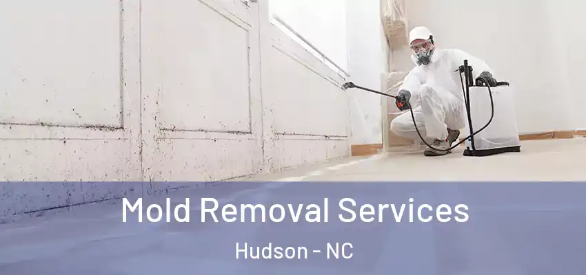 Mold Removal Services Hudson - NC