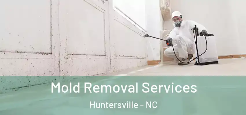 Mold Removal Services Huntersville - NC