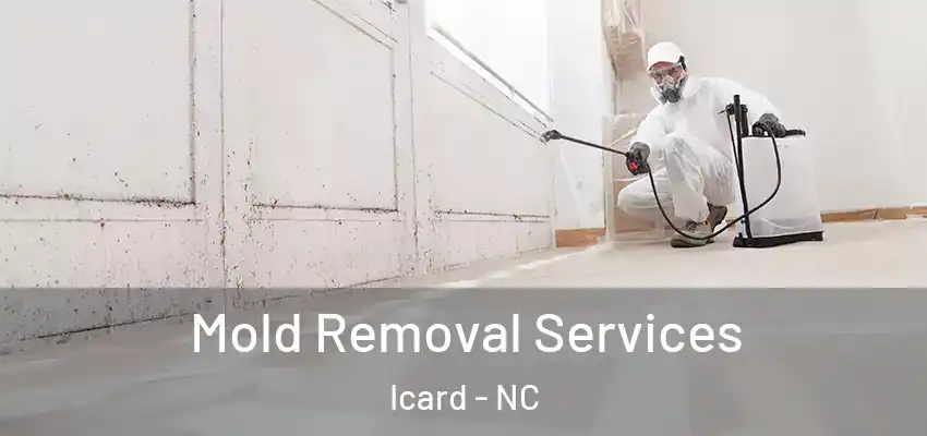 Mold Removal Services Icard - NC