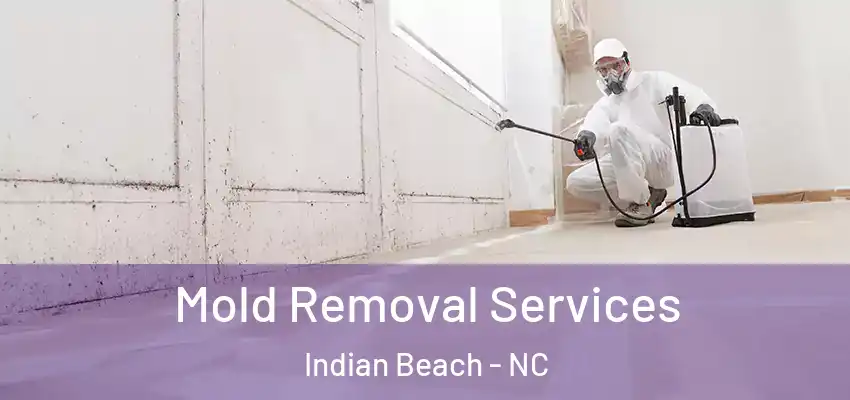  Mold Removal Services Indian Beach - NC