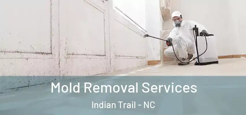 Mold Removal Services Indian Trail - NC