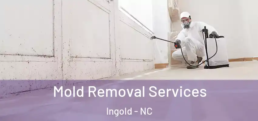  Mold Removal Services Ingold - NC