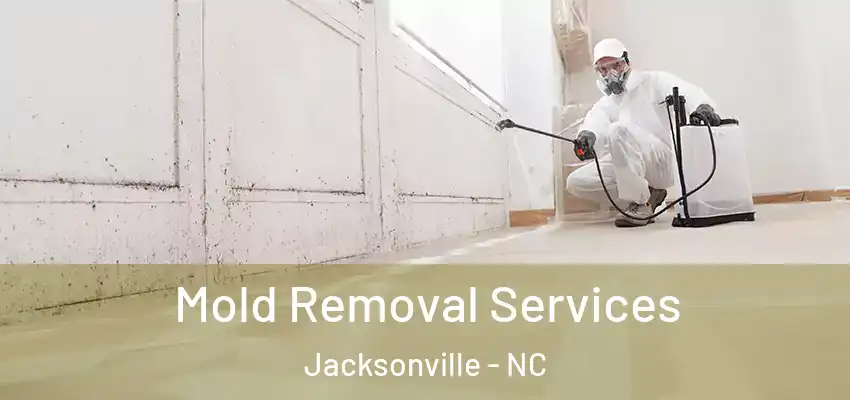  Mold Removal Services Jacksonville - NC