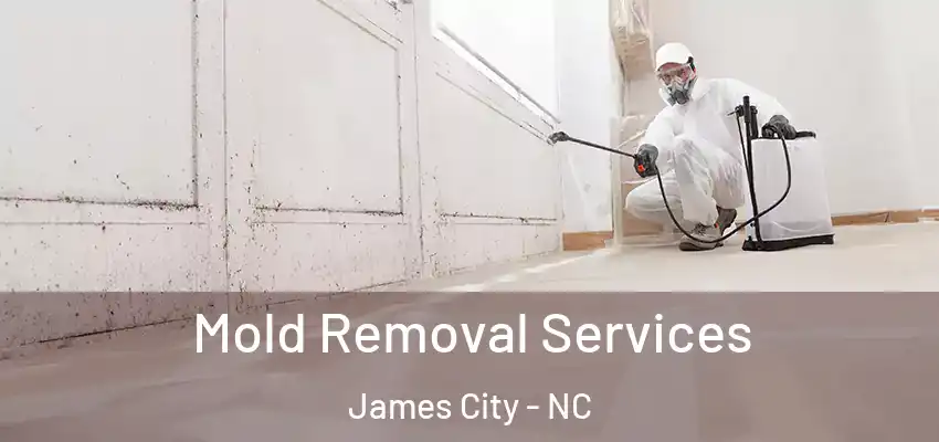  Mold Removal Services James City - NC