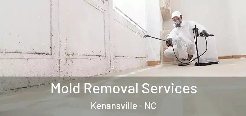  Mold Removal Services Kenansville - NC