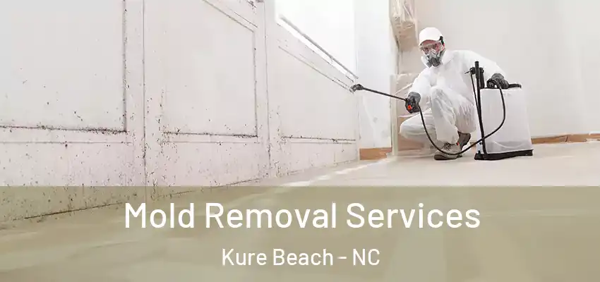 Mold Removal Services Kure Beach - NC