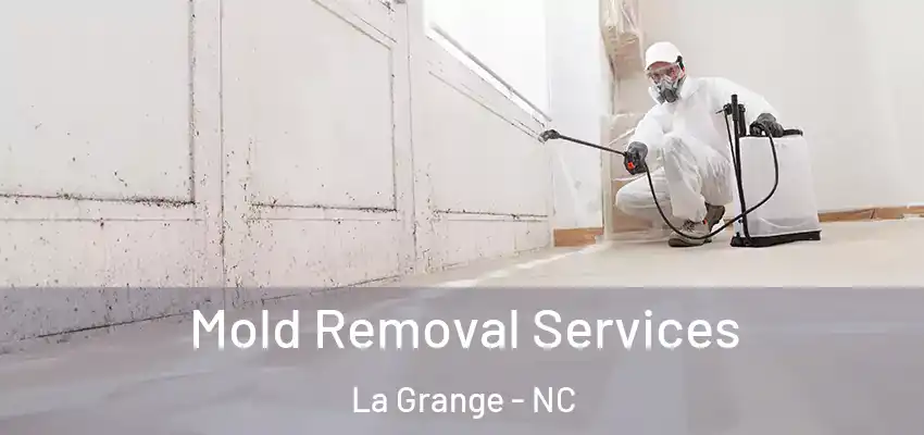 Mold Removal Services La Grange - NC