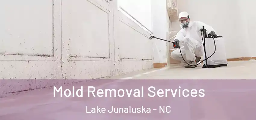 Mold Removal Services Lake Junaluska - NC