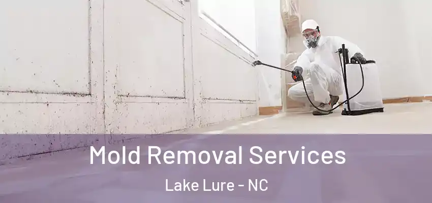 Mold Removal Services Lake Lure - NC