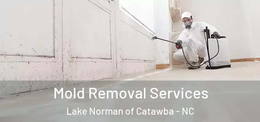  Mold Removal Services Lake Norman of Catawba - NC