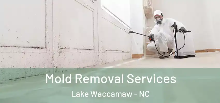 Mold Removal Services Lake Waccamaw - NC