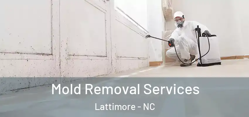 Mold Removal Services Lattimore - NC