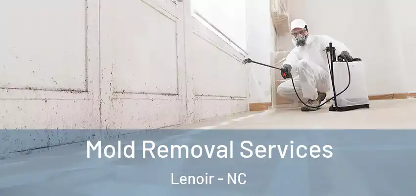  Mold Removal Services Lenoir - NC