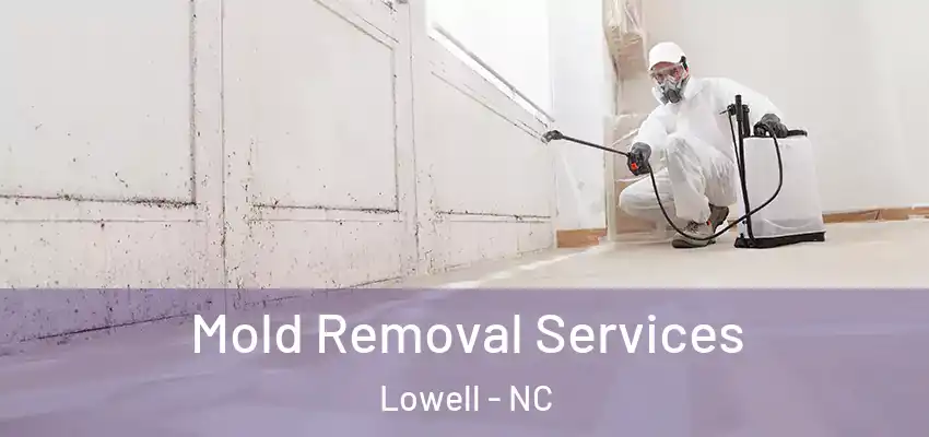 Mold Removal Services Lowell - NC