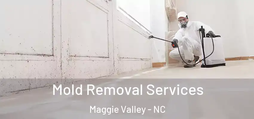 Mold Removal Services Maggie Valley - NC