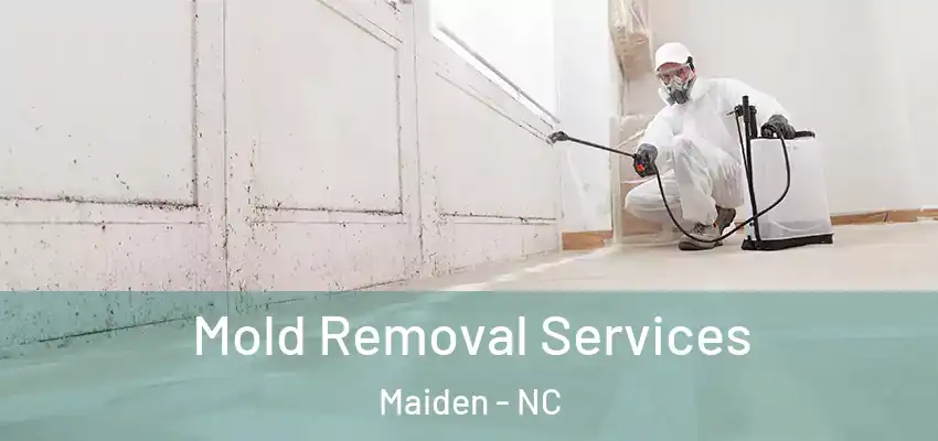  Mold Removal Services Maiden - NC