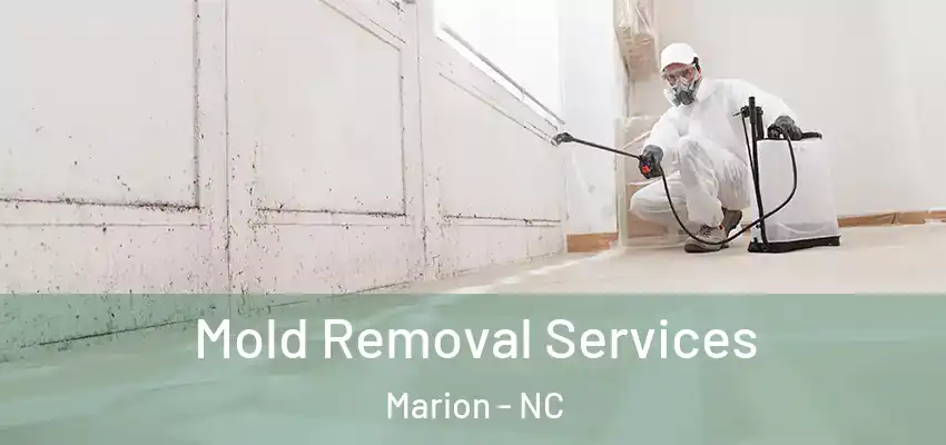 Mold Removal Services Marion - NC