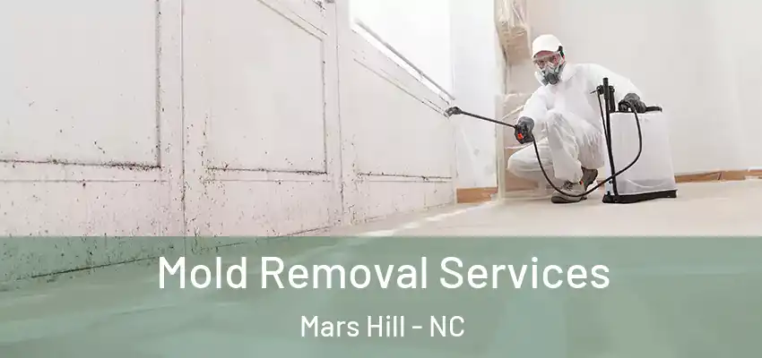 Mold Removal Services Mars Hill - NC