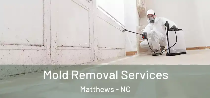 Mold Removal Services Matthews - NC