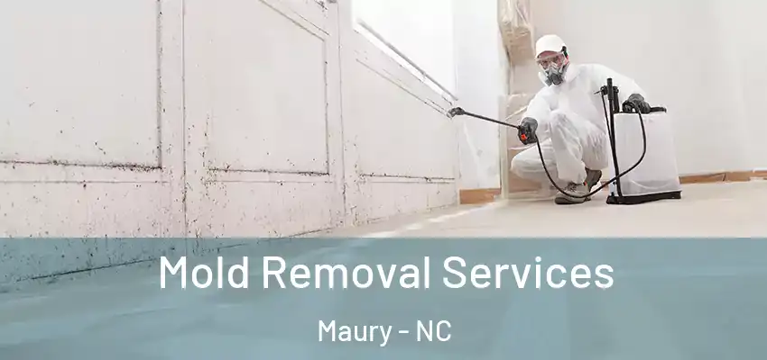  Mold Removal Services Maury - NC