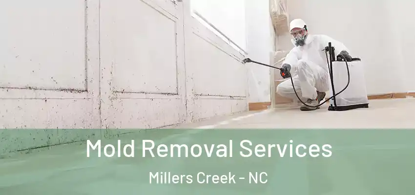  Mold Removal Services Millers Creek - NC
