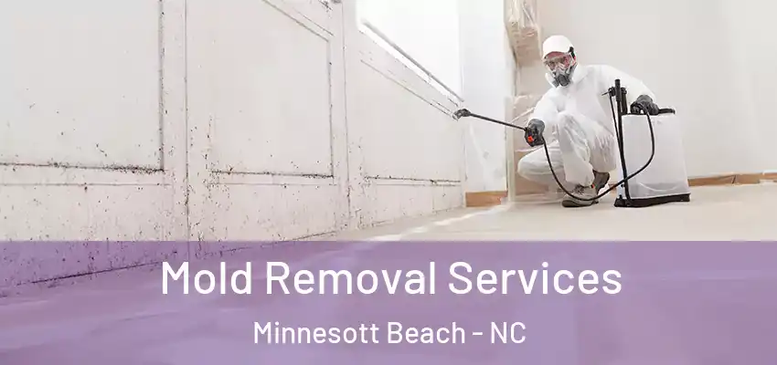 Mold Removal Services Minnesott Beach - NC