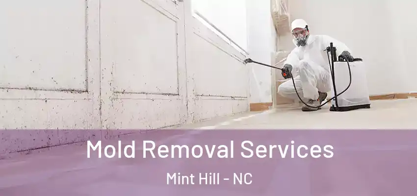 Mold Removal Services Mint Hill - NC