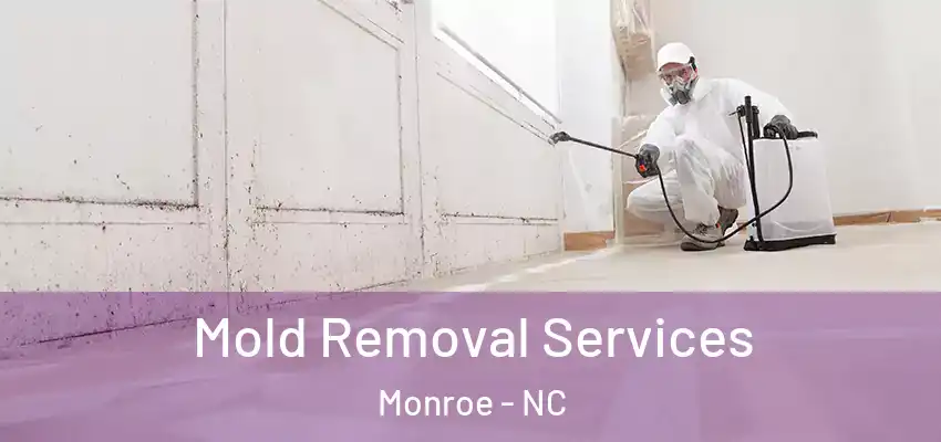 Mold Removal Services Monroe - NC