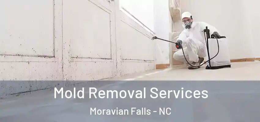 Mold Removal Services Moravian Falls - NC