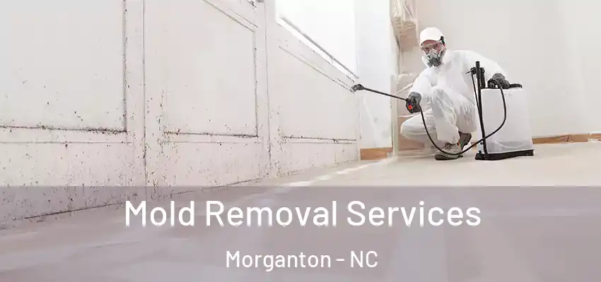 Mold Removal Services Morganton - NC