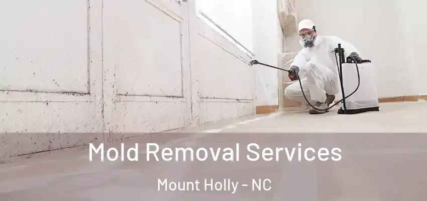  Mold Removal Services Mount Holly - NC