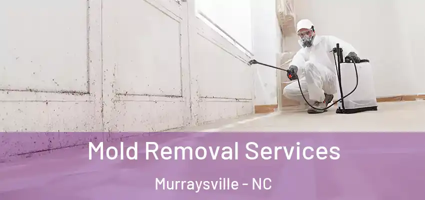  Mold Removal Services Murraysville - NC